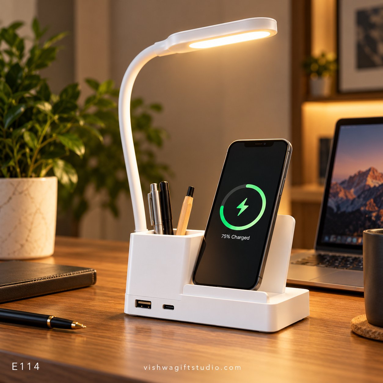 E114 Vireon Multifunction Desk Lamp