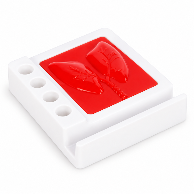PH675 / PH676 / PH677 / PH678 / PH679 / PH680 Organ Shape Paperweight with Mobile and Pen Holders