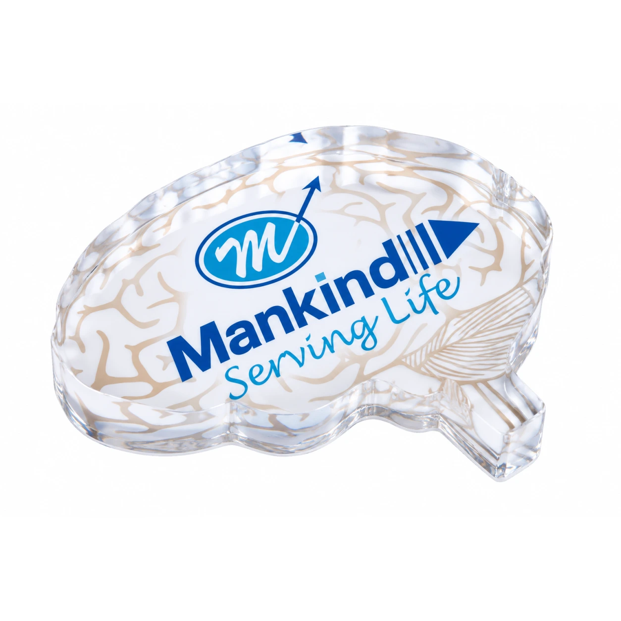 APW649 Brain Shape Acrylic Paperweight — APW649